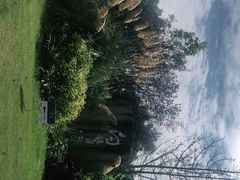 -白鹭湾湿地公园