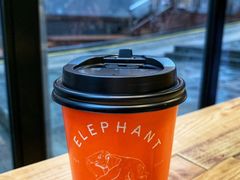 -Elephant Grounds(STARSTREET)