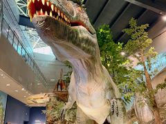 -湖南省地质博物馆