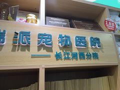 -瑞派长江宠物医院·猫科·外科·24小时夜护(谊城公寓分院)