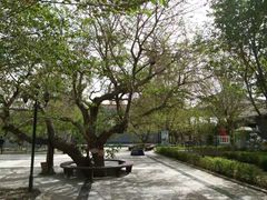 -哈密回王府景区