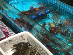 水产区-三妹小龙虾·黄油蟹(华侨城总店)