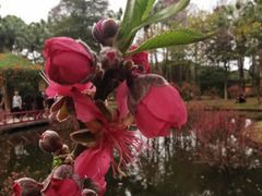 -桃花涧