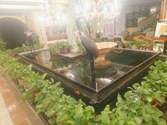 -汤泉良子.足疗按摩.SPA(中关村店)