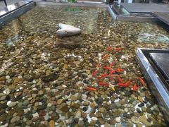 -上海怡沁园度假酒店