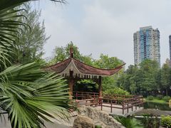 -晓港公园