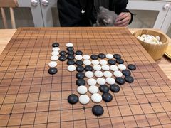 -楼上猫咖(罗湖店)