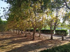 -华东政法大学(松江校区)