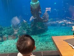 -涛·海底餐厅·美人鱼·自助餐·海底隧道(三亚海棠湾洲际度假酒店)