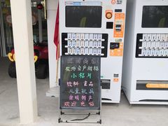 -前小桔亲子创意农场·草莓采摘·露营烧烤