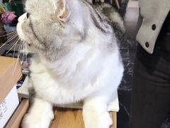 -边渡咖啡烘焙店(昙华林店)