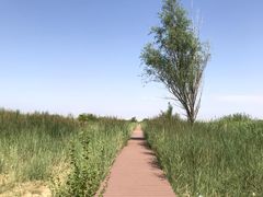 -亿利库布其七星湖沙漠生态旅游区