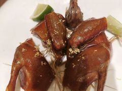 -觅唐MITONG(鸟巢店)