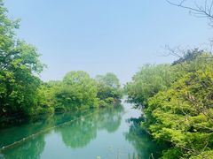 -西湖外事游船(花港观鱼码头)