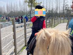 -前小桔亲子创意农场·草莓采摘·露营烧烤