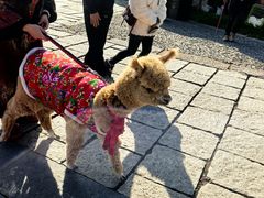 -茅山东方盐湖城景区