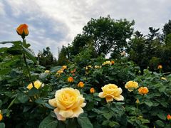 -国家植物园南园