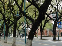 -岳麓山风景名胜区