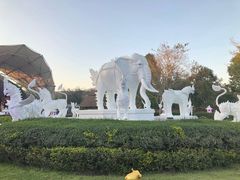 -清迈夜间动物园