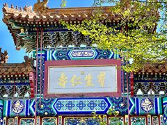 -雍和宫