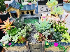 -秦美花卉(天朗·莱茵小城2期店)