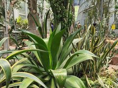 -郑州植物园
