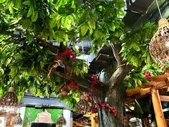 -草原塞蛮羊火锅城(港湾店)