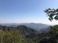 -大岭沟猕猴桃谷风景区