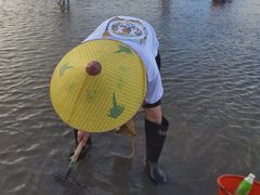 -红树林天天赶海