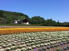 iphone_upload_pic-富田农场