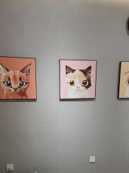 -洗脸猫·洗脸吧