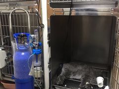 -联合动物医院(光谷诊疗中心)