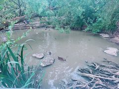-宁波杭州湾国家湿地公园
