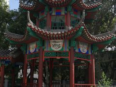 -北京中医药大学东方医院(方庄院区)