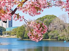 -新江湾城公园