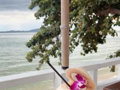 -卷心菜和避孕套餐厅(Pattaya)