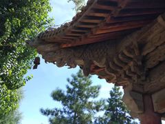 -张掖大佛寺景区