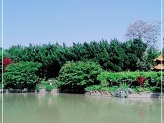 -嘉定紫藤园