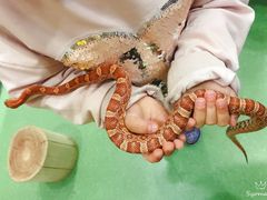 -藦茜花园宠物主题亲子互动体验馆(国顺东路店)