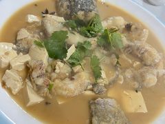 -煲来饱去冷水鱼