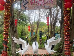 -广州长隆飞鸟乐园