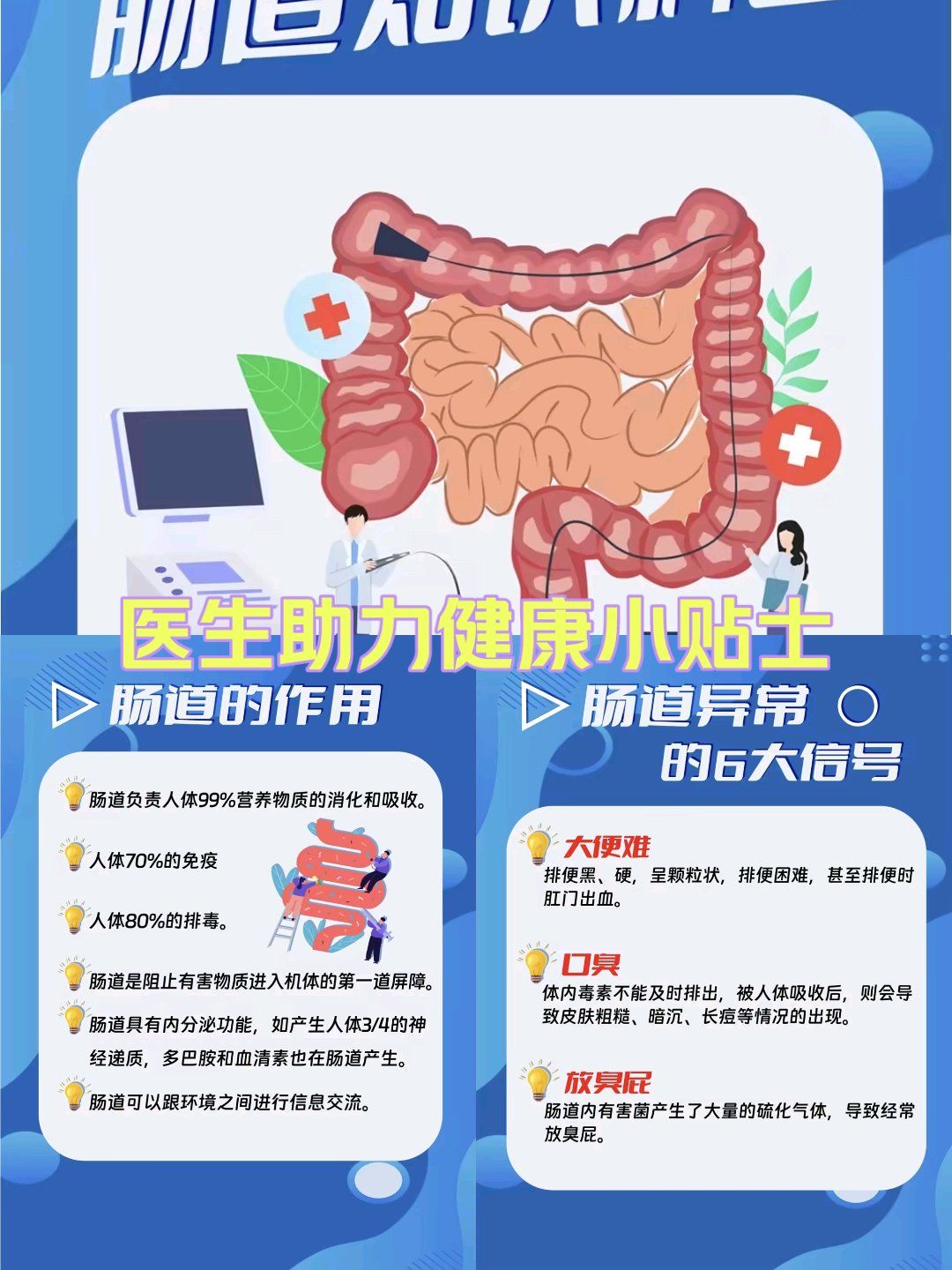 肠道的作用