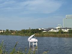 -杭州湾海上花田景区