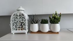 -ChuLian初莲日式美甲美睫