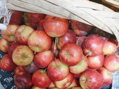 -王婆炒鱼(总店)