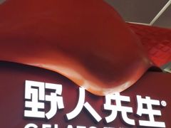 -野人先生现做冰淇淋(北京王府井东方新天地店)
