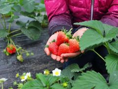 -上海滴水湖皇冠假日酒店