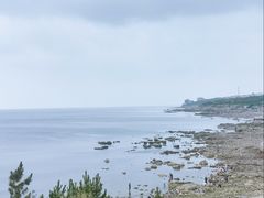 -海岛日记(养马岛店)
