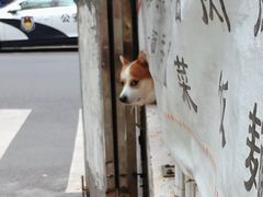 -小梁哥云吞面(黄贝岭店)
