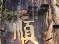 -三水森林公园